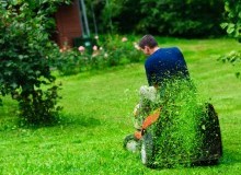 Kwikfynd Lawn Mowing
grassmere