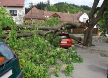 Kwikfynd Tree Cutting Services
grassmere